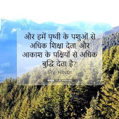 अय्यूब 35:11 HINIRV बाइबल आयत इमेज