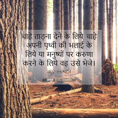 अय्यूब 37:13 HINIRV बाइबल आयत इमेज