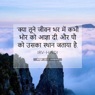 अय्यूब 38:12 HINIRV बाइबल आयत इमेज