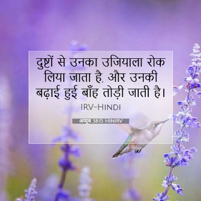 अय्यूब 38:15 HINIRV बाइबल आयत इमेज