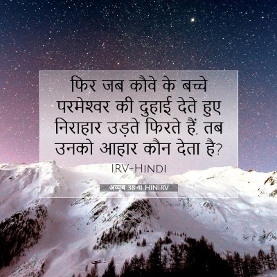 अय्यूब 38:41 HINIRV बाइबल आयत इमेज