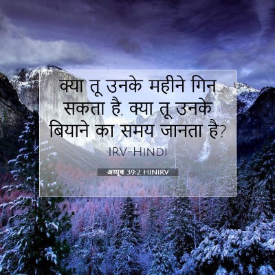 अय्यूब 39:2 बाइबल आयत की व्याख्या