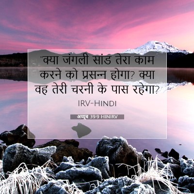 अय्यूब 39:9 HINIRV बाइबल आयत इमेज