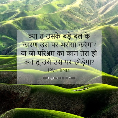 अय्यूब 39:11 बाइबल आयत की व्याख्या