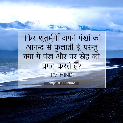 अय्यूब 39:13 HINIRV बाइबल आयत इमेज