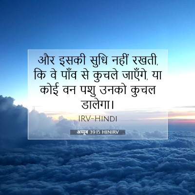 अय्यूब 39:15 बाइबल आयत की व्याख्या