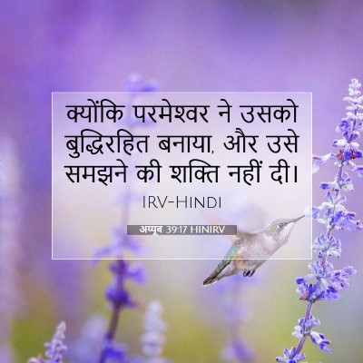 अय्यूब 39:17 HINIRV बाइबल आयत इमेज