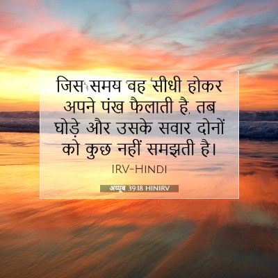 अय्यूब 39:18 HINIRV बाइबल आयत इमेज