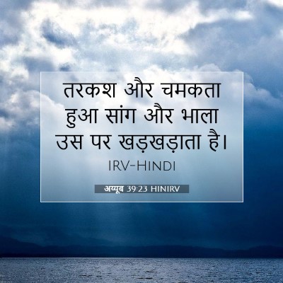 अय्यूब 39:23 बाइबल आयत की व्याख्या