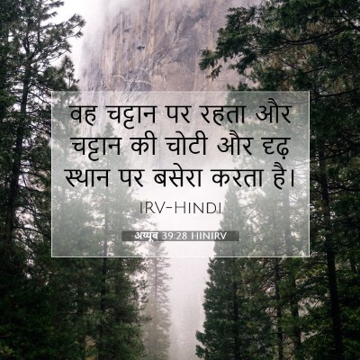 अय्यूब 39:28 बाइबल आयत की व्याख्या