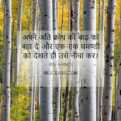 अय्यूब 40:11 HINIRV बाइबल आयत इमेज