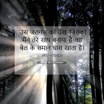 अय्यूब 40:15 HINIRV बाइबल आयत इमेज