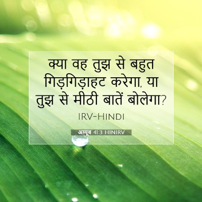 अय्यूब 41:3 बाइबल आयत की व्याख्या