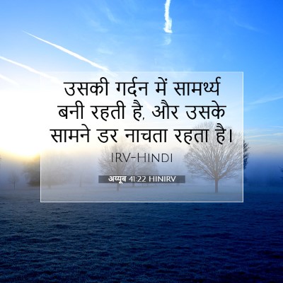 अय्यूब 41:22 बाइबल आयत की व्याख्या
