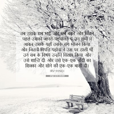अय्यूब 42:11 HINIRV बाइबल आयत इमेज
