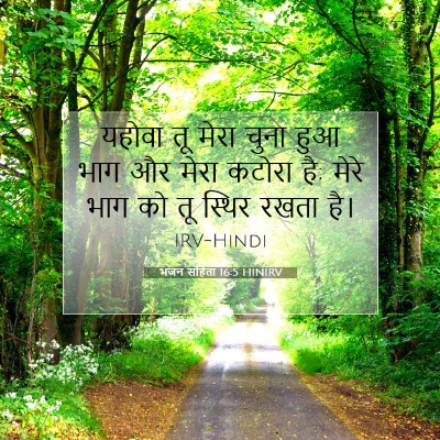 भजन संहिता 16:5 HINIRV बाइबल आयत इमेज