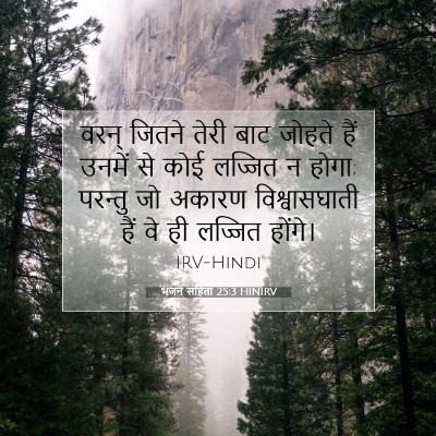 भजन संहिता 25:3 बाइबल आयत की व्याख्या