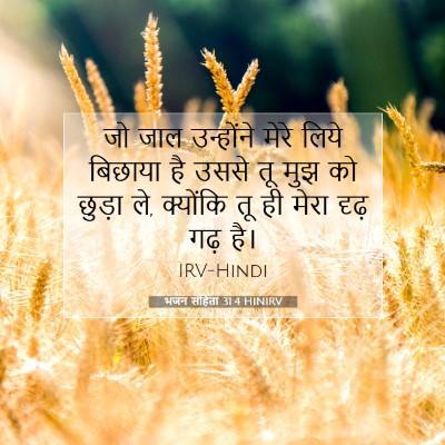 भजन संहिता 31:4 बाइबल आयत की व्याख्या