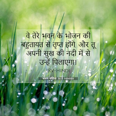 भजन संहिता 36:8 HINIRV बाइबल आयत इमेज