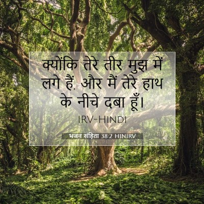 भजन संहिता 38:2 HINIRV बाइबल आयत इमेज