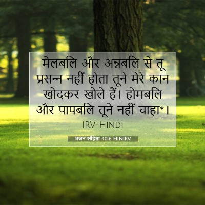 भजन संहिता 40:6 बाइबल आयत की व्याख्या