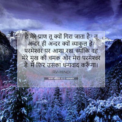 भजन संहिता 43:5 बाइबल आयत की व्याख्या