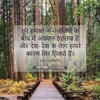 भजन संहिता 44:14 बाइबल आयत की व्याख्या