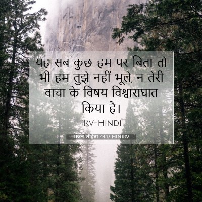 भजन संहिता 44:17 बाइबल आयत की व्याख्या