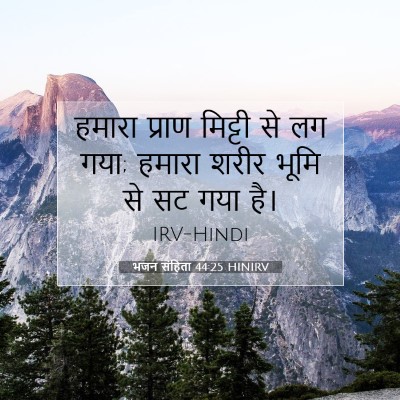 भजन संहिता 44:25 बाइबल आयत की व्याख्या