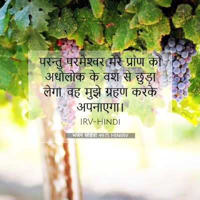 भजन संहिता 49:15 बाइबल आयत की व्याख्या