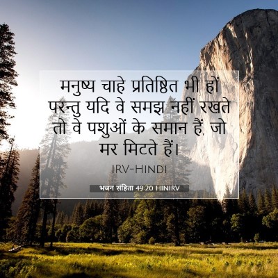 भजन संहिता 49:20 बाइबल आयत की व्याख्या