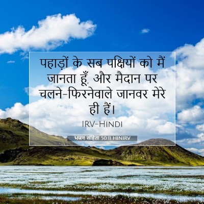 भजन संहिता 50:11 बाइबल आयत की व्याख्या
