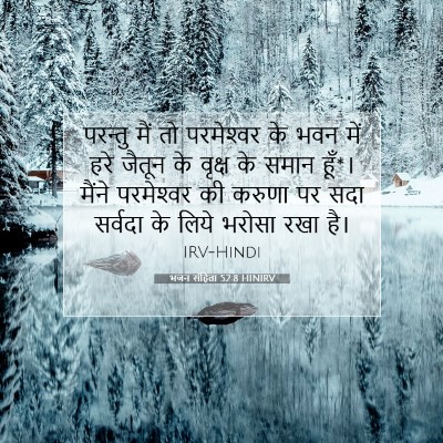 भजन संहिता 52:8 HINIRV बाइबल आयत इमेज