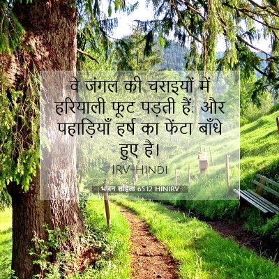 भजन संहिता 65:12 बाइबल आयत की व्याख्या