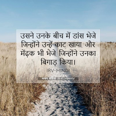 भजन संहिता 78:45 बाइबल आयत की व्याख्या