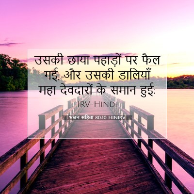 भजन संहिता 80:10 बाइबल आयत की व्याख्या