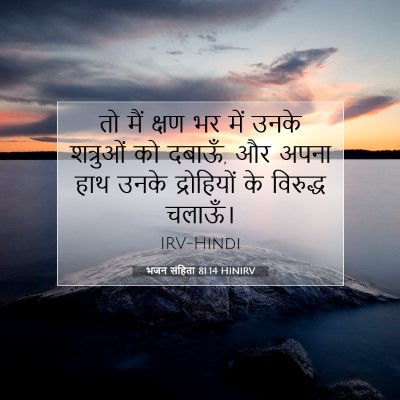 भजन संहिता 81:14 HINIRV बाइबल आयत इमेज