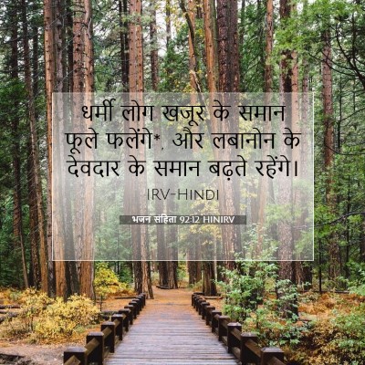 भजन संहिता 92:12 HINIRV बाइबल आयत इमेज