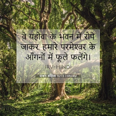 भजन संहिता 92:13 HINIRV बाइबल आयत इमेज