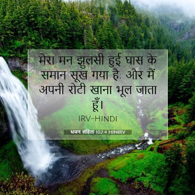 भजन संहिता 102:4 HINIRV बाइबल आयत इमेज
