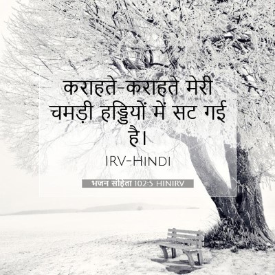 भजन संहिता 102:5 बाइबल आयत की व्याख्या