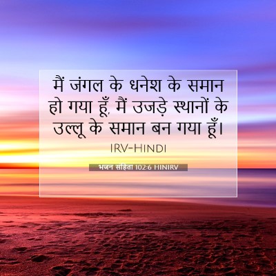 भजन संहिता 102:6 बाइबल आयत की व्याख्या