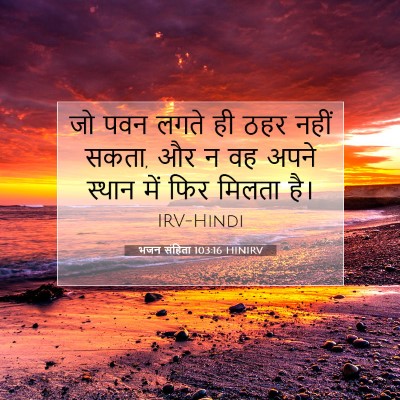 भजन संहिता 103:16 बाइबल आयत की व्याख्या