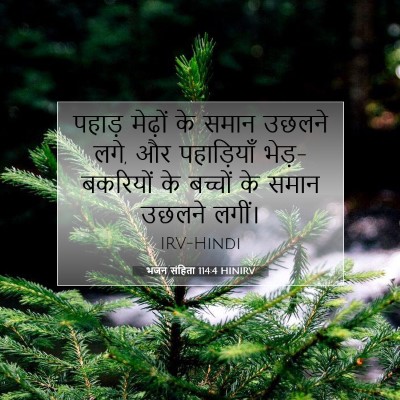 भजन संहिता 114:4 HINIRV बाइबल आयत इमेज
