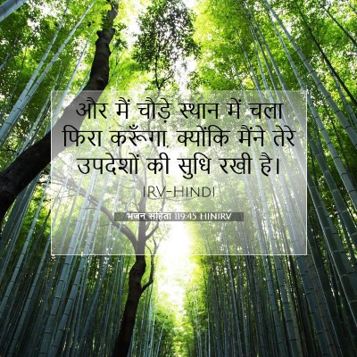 भजन संहिता 119:45 बाइबल आयत की व्याख्या