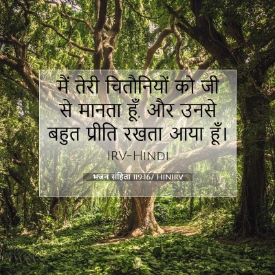भजन संहिता 119:167 बाइबल आयत की व्याख्या