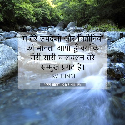 भजन संहिता 119:168 बाइबल आयत की व्याख्या