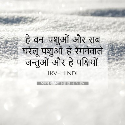 भजन संहिता 148:10 HINIRV बाइबल आयत इमेज