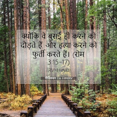 नीतिवचन 1:16 बाइबल आयत की व्याख्या