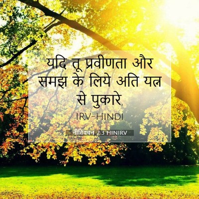 नीतिवचन 2:3 HINIRV बाइबल आयत इमेज
